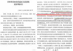 <b>吉林一起拍卖纠纷引发同案不同判审限超期与刑民交叉的多重拷问</b>