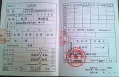 <b>海南一“公章之争”背后:虚假诉讼、假证风波与治理困局</b>